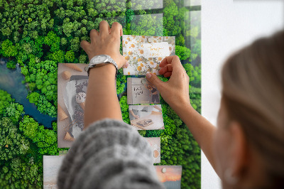 Tableau mural magnétique Rivière dans la forêt