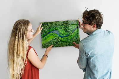 Tableau mural magnétique Rivière dans la forêt