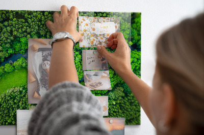 Tableau mural magnétique Rivière dans la forêt