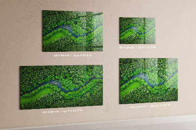 Tableau mural magnétique Rivière dans la forêt