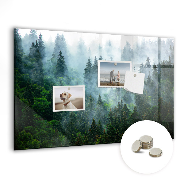 Tableau mural magnétique Forêt brumeuse