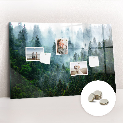 Tableau mural magnétique Forêt brumeuse