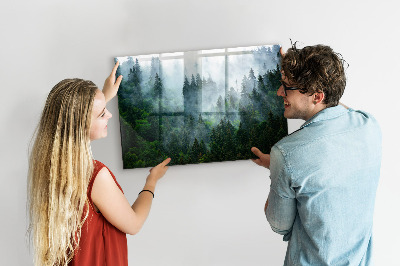 Tableau mural magnétique Forêt brumeuse