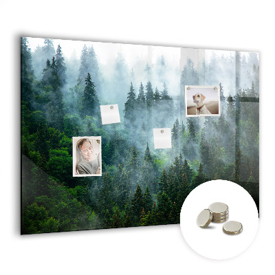 Tableau mural magnétique Forêt brumeuse