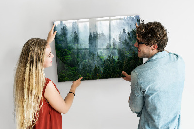 Tableau mural magnétique Forêt brumeuse