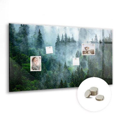 Tableau mural magnétique Forêt brumeuse