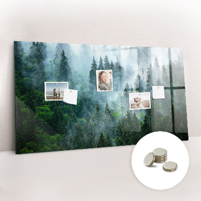Tableau mural magnétique Forêt brumeuse
