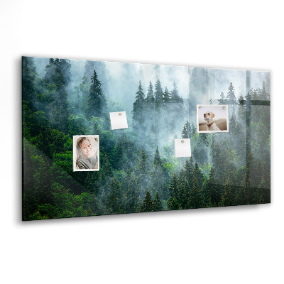 Tableau mural magnétique Forêt brumeuse