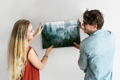 Tableau mural magnétique Forêt brumeuse