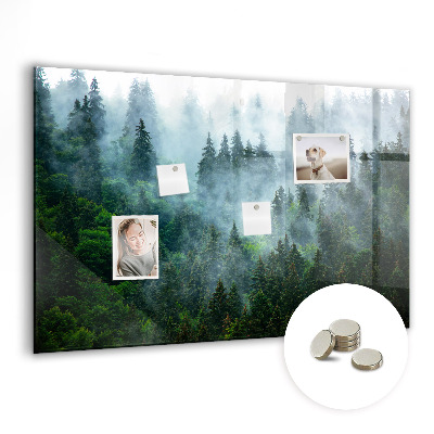 Tableau mural magnétique Forêt brumeuse