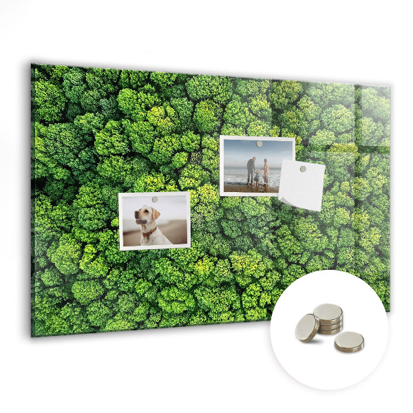 Tableau pour magnet La forêt vue à vol d'oiseau