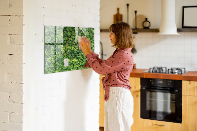 Tableau pour magnet La forêt vue à vol d'oiseau