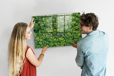 Tableau pour magnet La forêt vue à vol d'oiseau