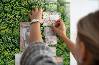 Tableau pour magnet La forêt vue à vol d'oiseau