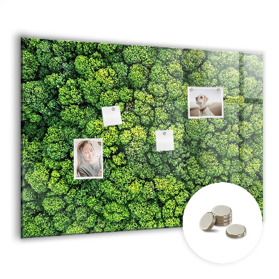 Tableau pour magnet La forêt vue à vol d'oiseau