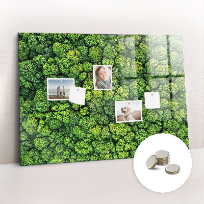 Tableau pour magnet La forêt vue à vol d'oiseau