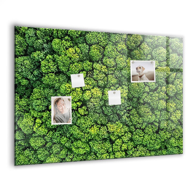 Tableau pour magnet La forêt vue à vol d'oiseau