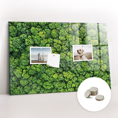 Tableau pour magnet La forêt vue à vol d'oiseau