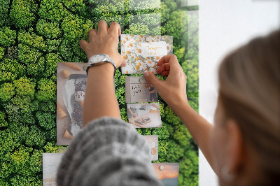 Tableau pour magnet La forêt vue à vol d'oiseau