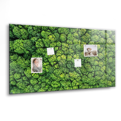Tableau pour magnet La forêt vue à vol d'oiseau