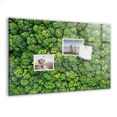 Tableau pour magnet La forêt vue à vol d'oiseau