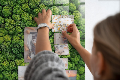 Tableau pour magnet La forêt vue à vol d'oiseau
