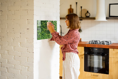 Tableau pour magnet La forêt vue à vol d'oiseau