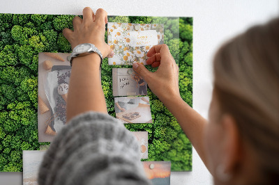Tableau pour magnet La forêt vue à vol d'oiseau