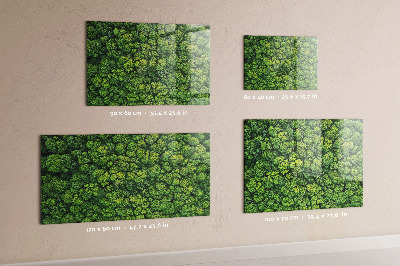 Tableau pour magnet La forêt vue à vol d'oiseau