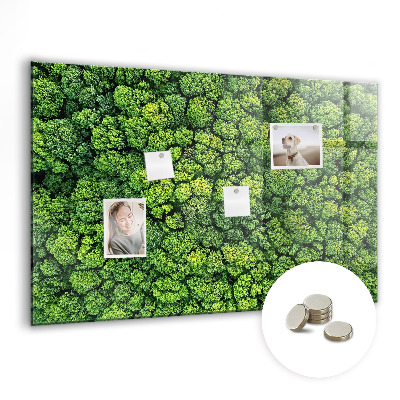 Tableau pour magnet La forêt vue à vol d'oiseau