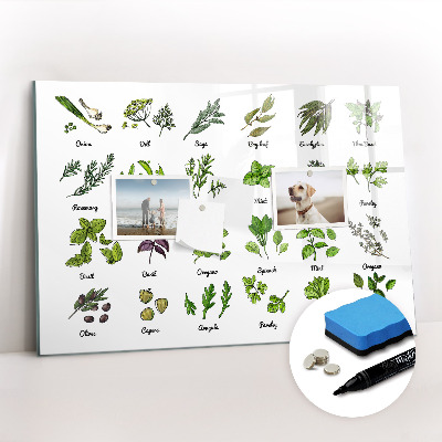 Tableau effaçable magnétique Types d'arbres