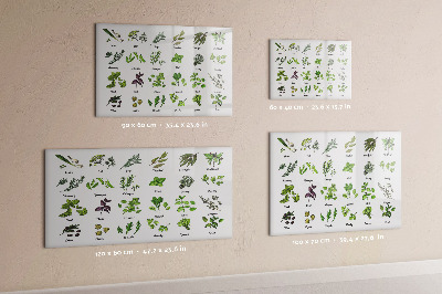 Tableau effaçable magnétique Types d'arbres