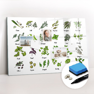 Tableau effaçable magnétique Types d'arbres