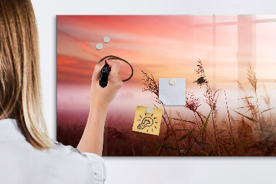 Tableau effaçable magnétique Matin brumeux