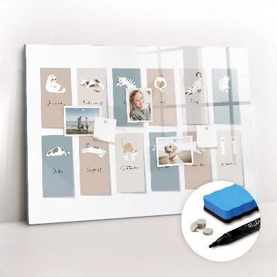 Tableau verre magnétique Calendrier des chats