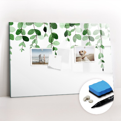 Tableau magnétique mural Feuilles de plantes