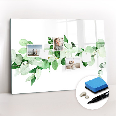 Tableau verre magnétique Une branche d'une plante