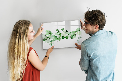 Tableau verre magnétique Une branche d'une plante