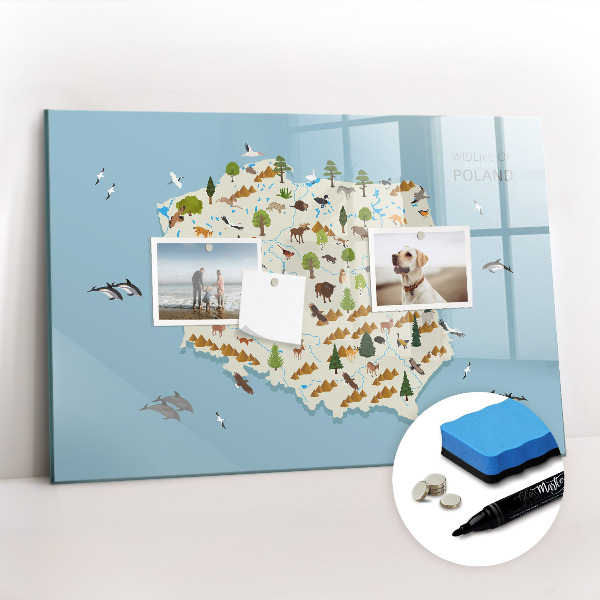Tableau effaçable magnétique Carte des animaux polonais