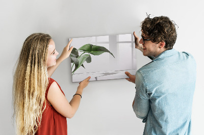 Tableau verre magnétique Feuilles abstraites