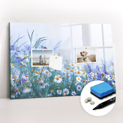 Tableau magnétique mural Papillon dans la prairie