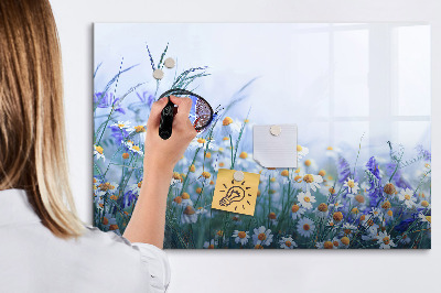 Tableau magnétique mural Papillon dans la prairie