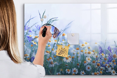 Tableau magnétique mural Papillon dans la prairie