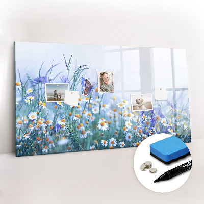 Tableau magnétique mural Papillon dans la prairie