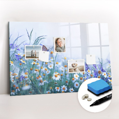 Tableau magnétique mural Papillon dans la prairie