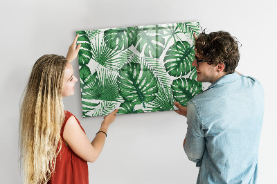 Tableau verre magnétique Feuilles de Monstera