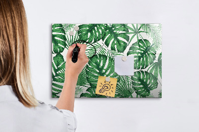 Tableau verre magnétique Feuilles de Monstera