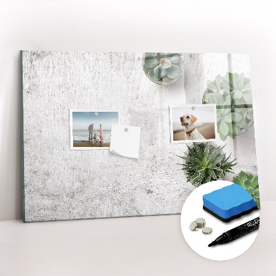 Tableau magnétique mural Plantes ornementales