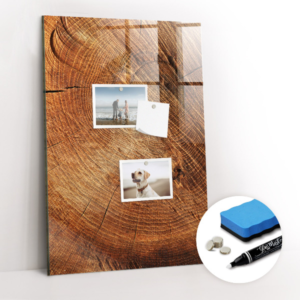 Tableau magnétique déco Coupe transversale du tronc