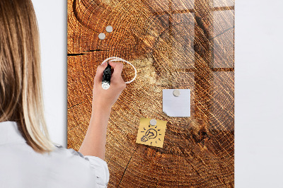 Tableau magnétique déco Coupe transversale du tronc